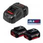 Starter-Set 2 x GBA 18V 6.0Ah + GAL 1880 CV Professional 
